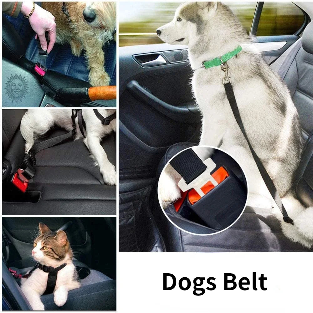 Adjustable Pet Car Seat Belt – Dog & Cat Safety Harness Clip for Vehicle Travel