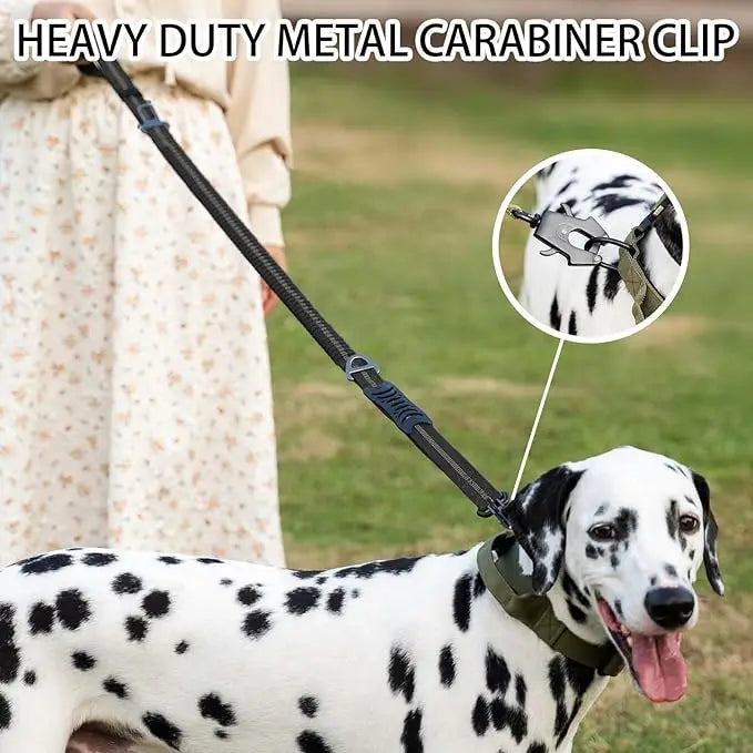 Heavy Duty Bungee Dog Leash – Reflective No-Pull Leash with Car Seatbelt Clip