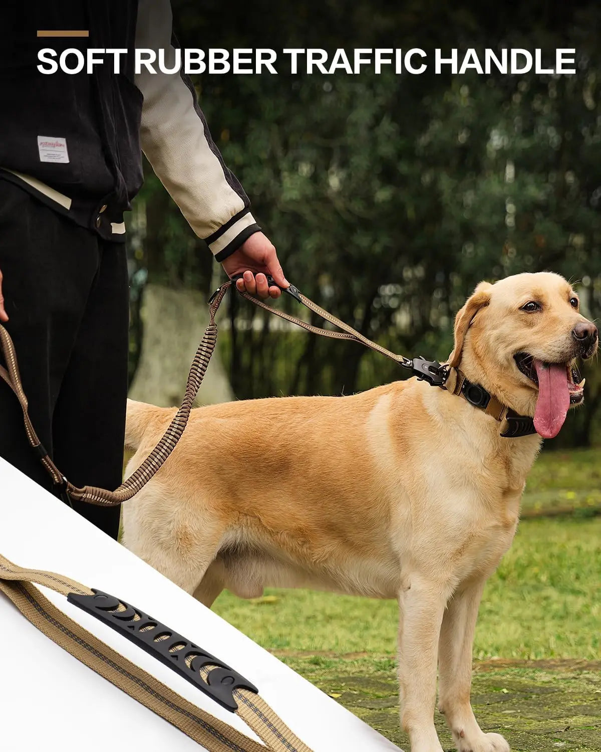 Heavy Duty Bungee Dog Leash – Reflective No-Pull Leash with Car Seatbelt Clip