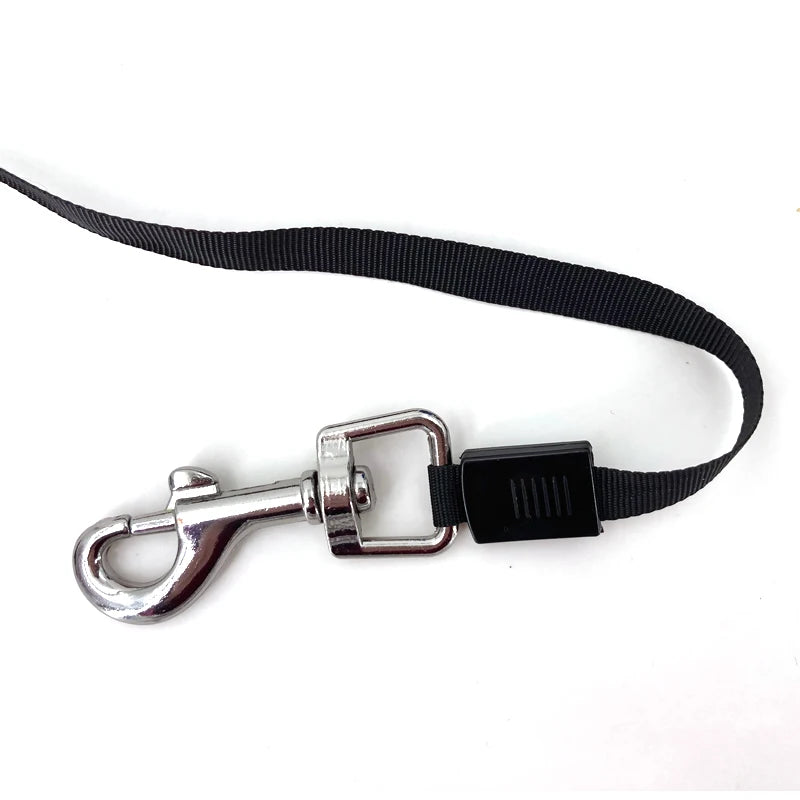 Retractable Dog Leash 3M/5M – Automatic Flexi Lead for Small & Medium Dogs