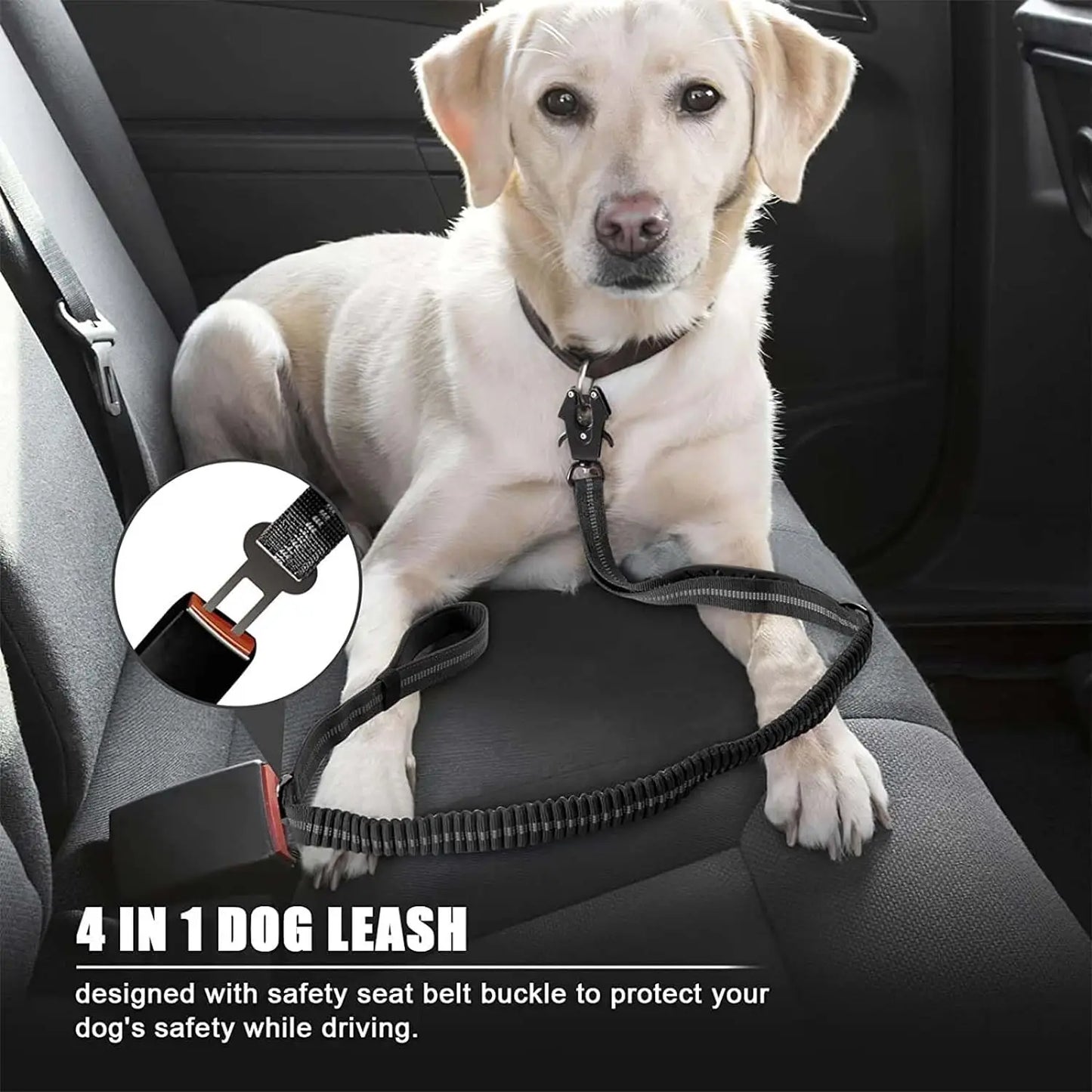 Heavy Duty Bungee Dog Leash – Reflective No-Pull Leash with Car Seatbelt Clip