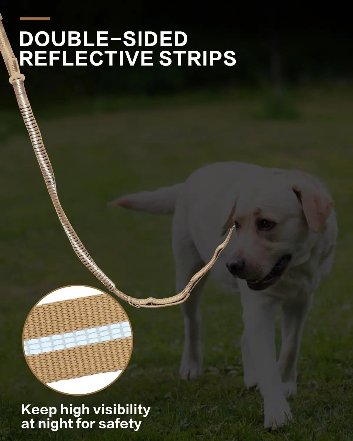 Heavy Duty Bungee Dog Leash – Reflective No-Pull Leash with Car Seatbelt Clip